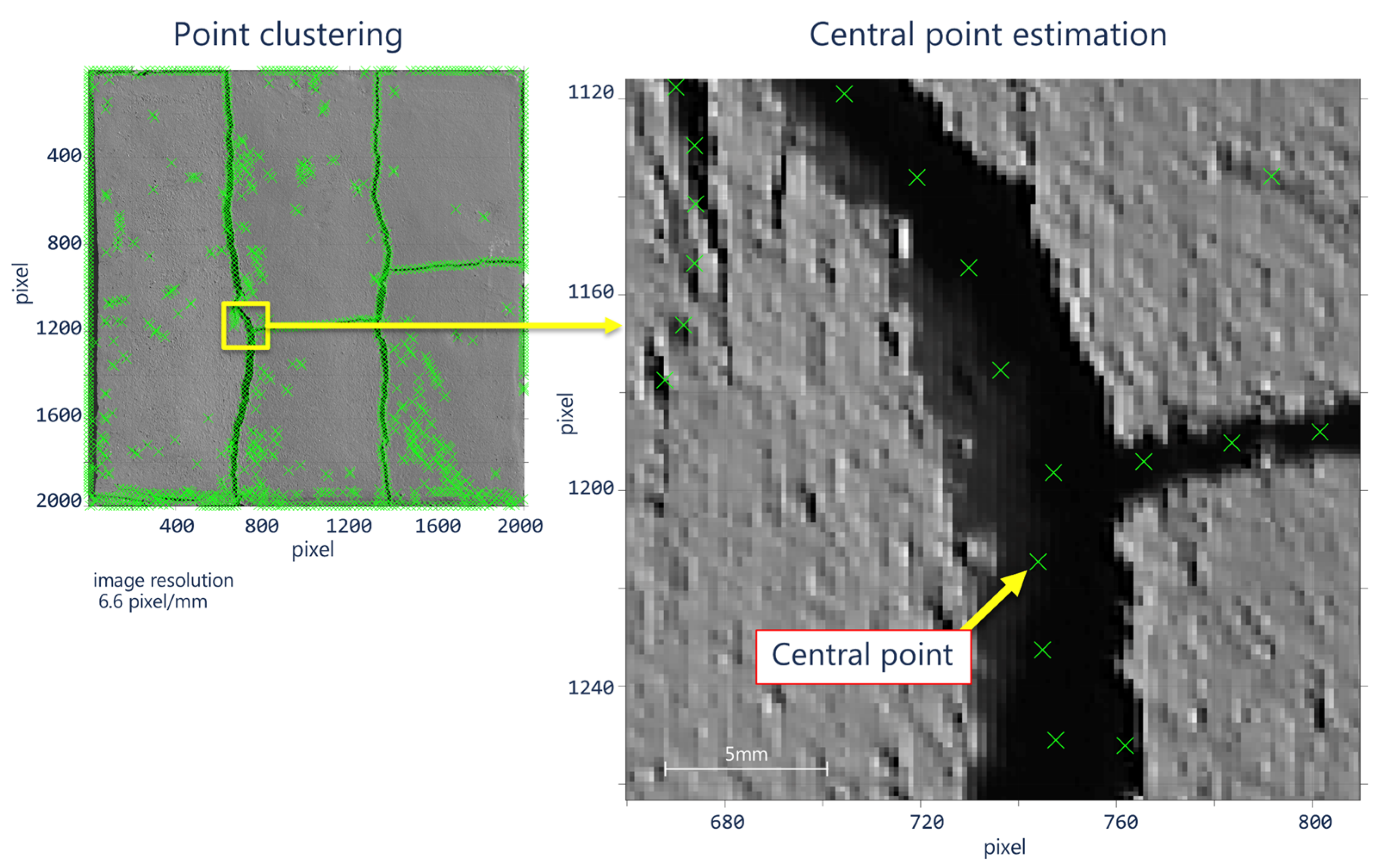 Sensors 21 07534 g007