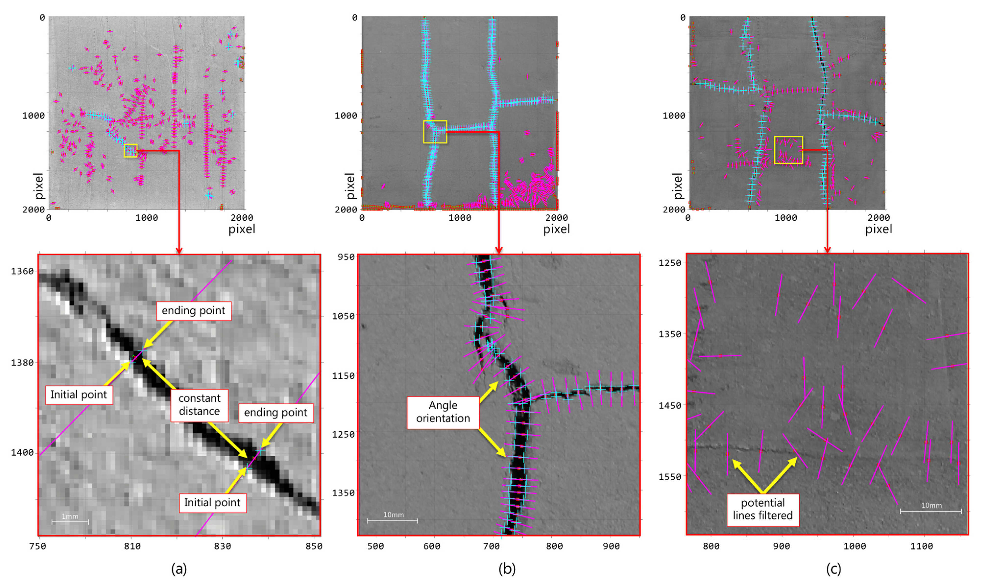 Sensors 21 07534 g013