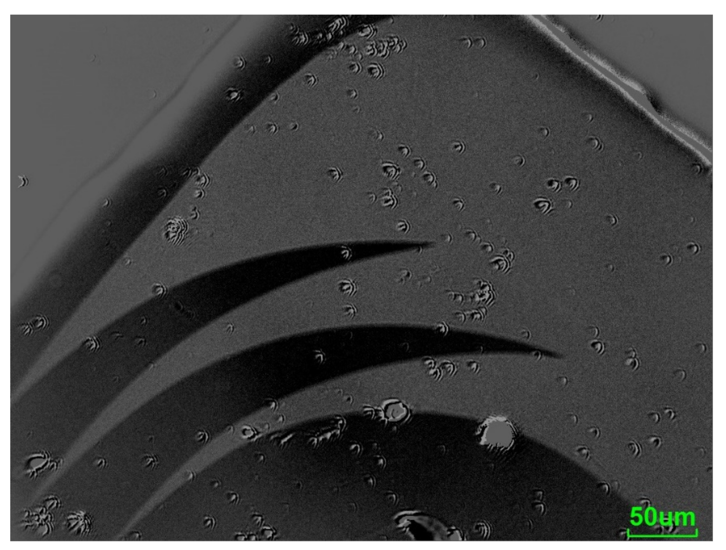 Sensors 21 07578 g011