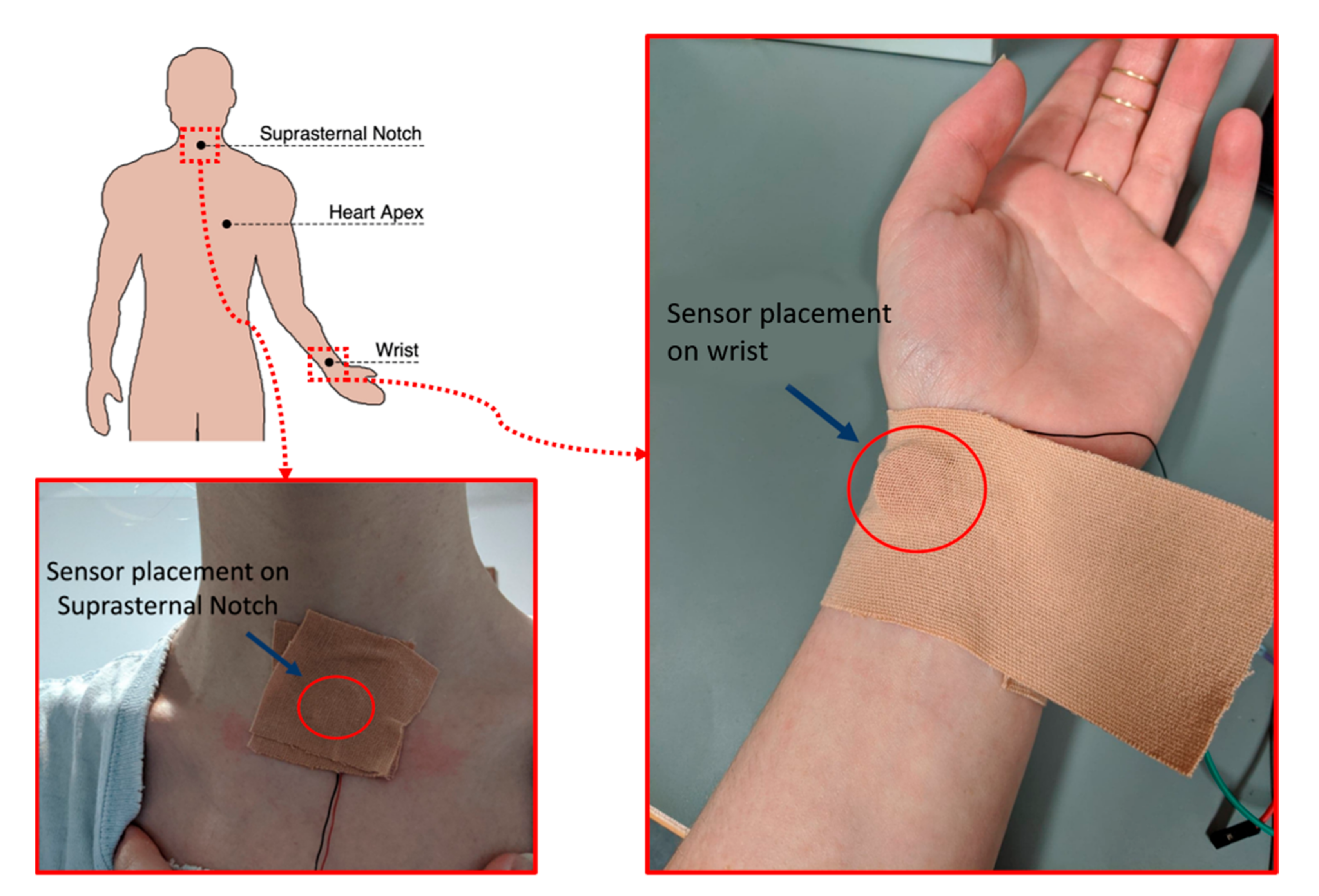 Sensors 21 07586 g006