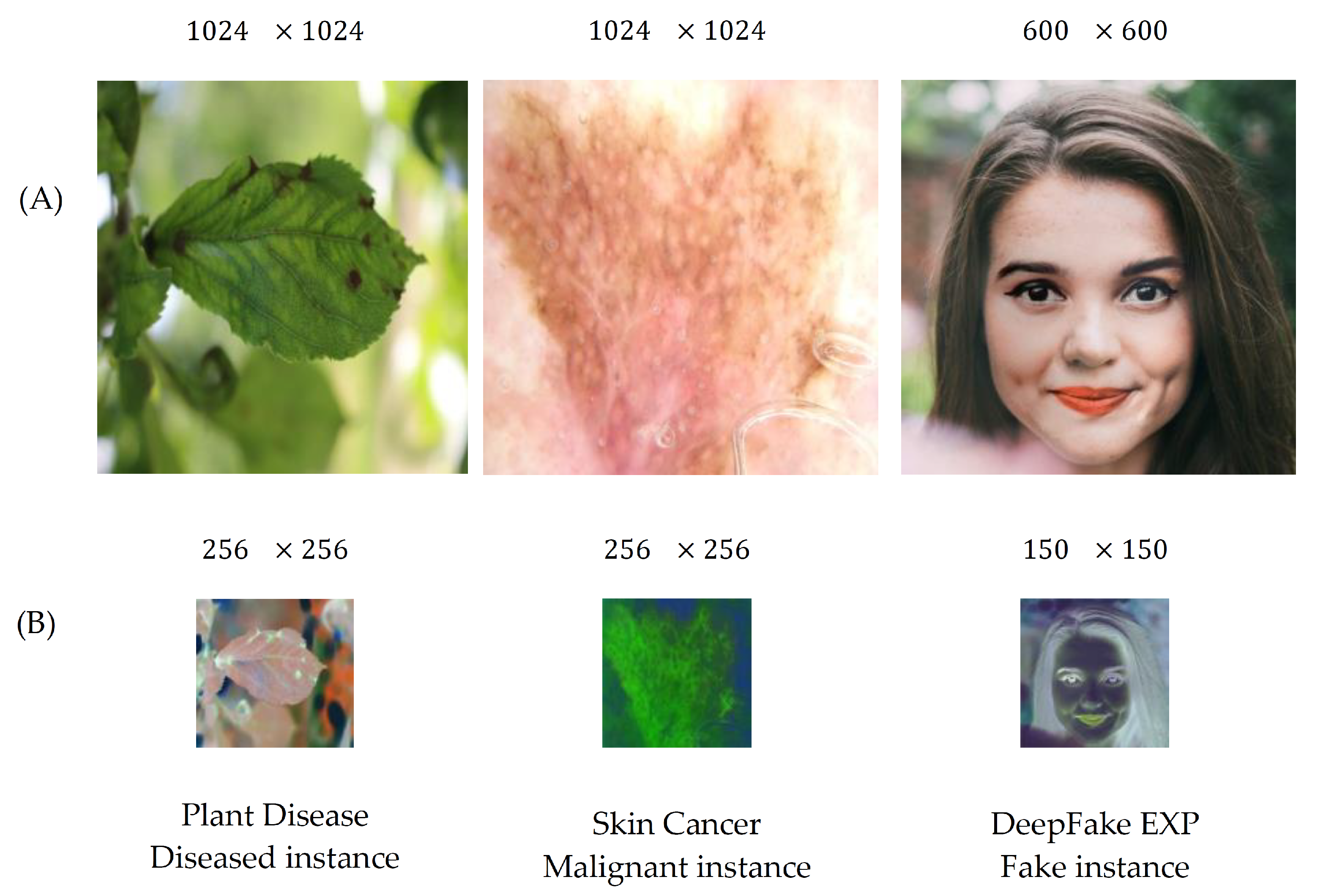 Sensors 21 07731 g004