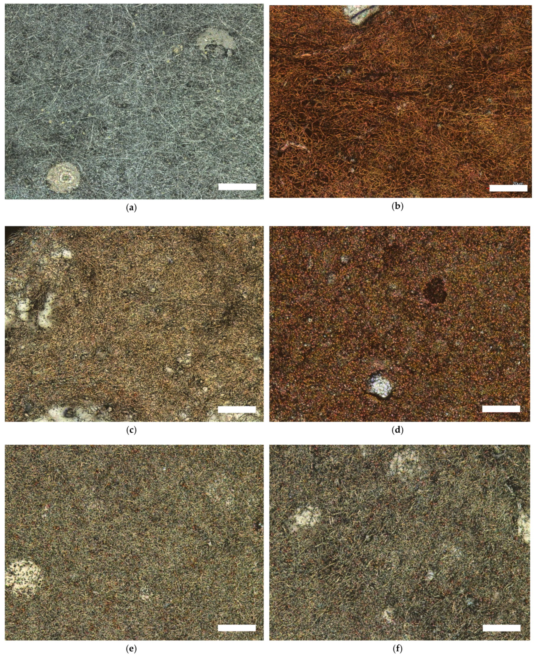 Sensors 21 07873 g003