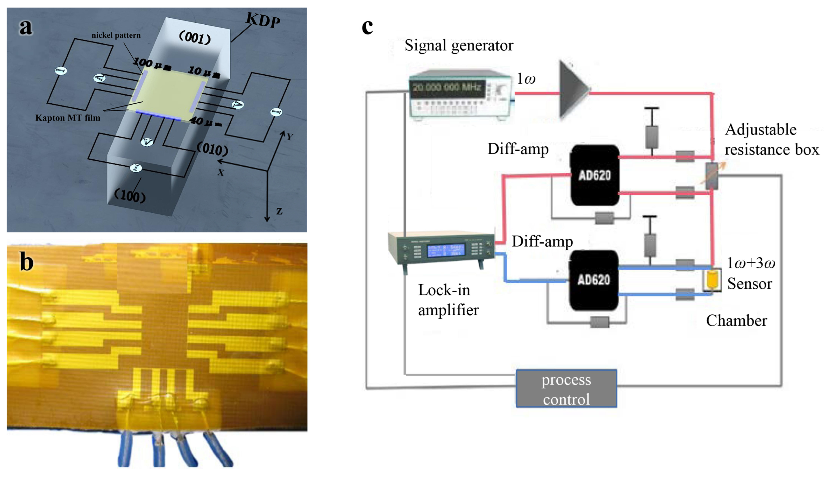 Sensors 21 07968 g001