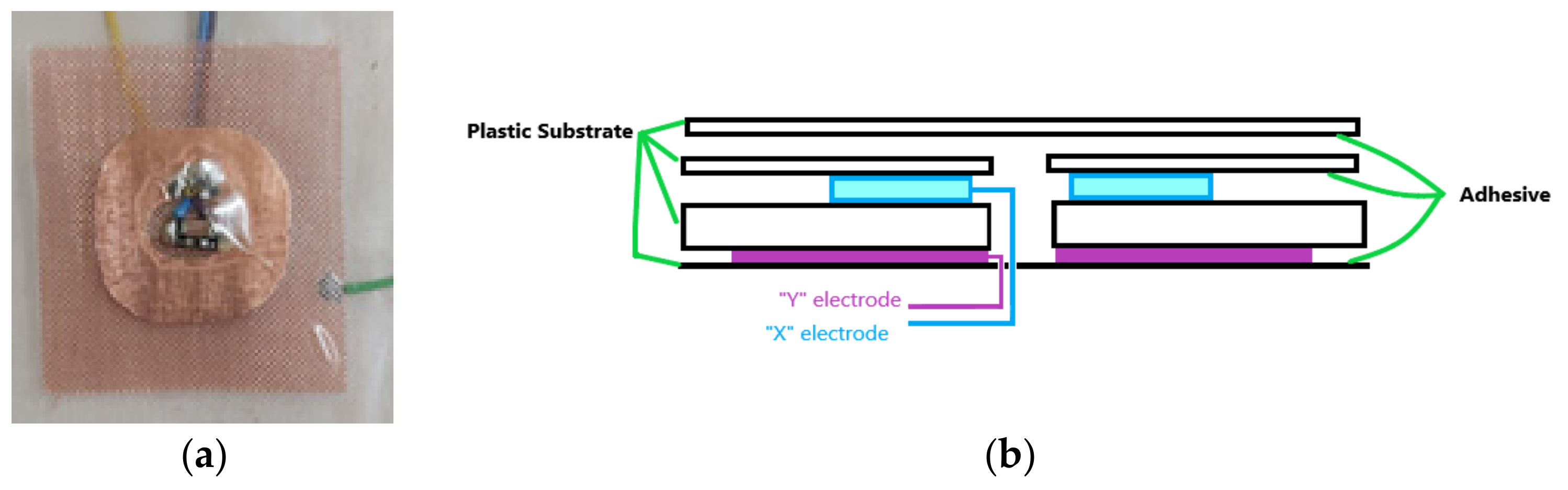 Sensors 21 08008 g008