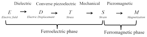 Sensors 21 08012 i002