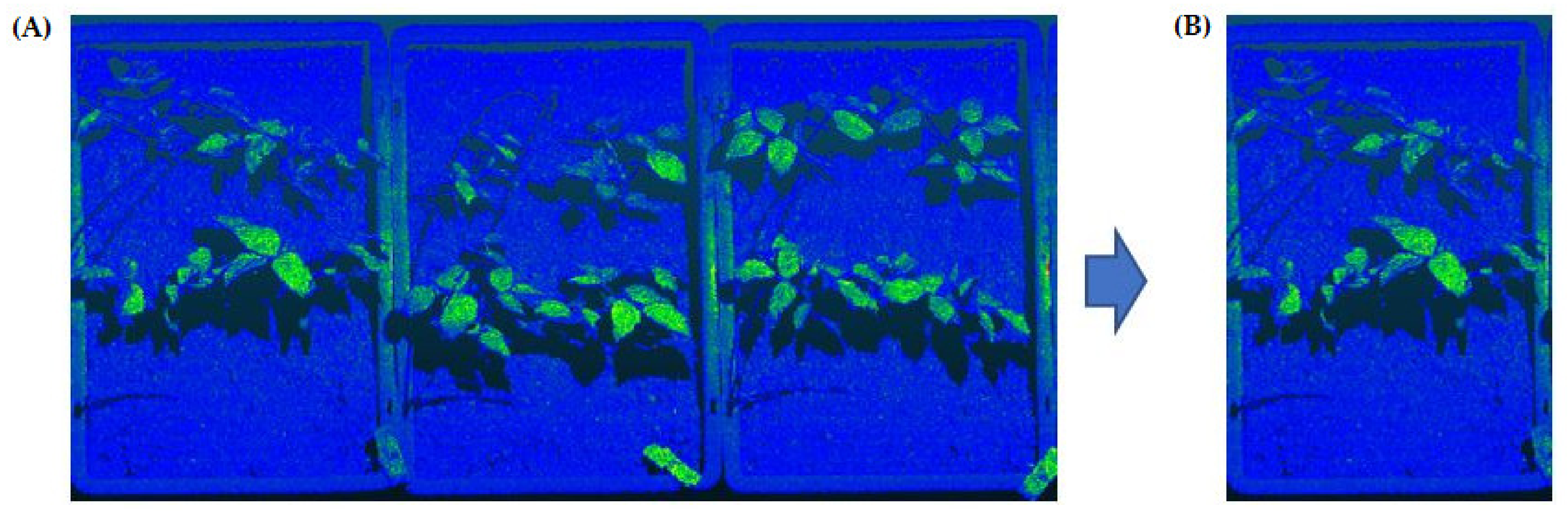 Sensors 21 08022 g002