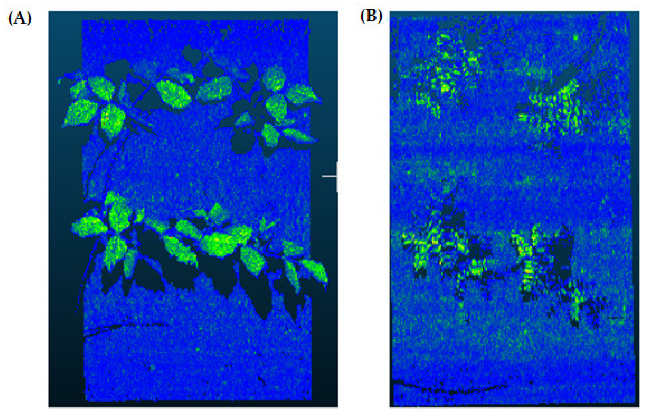 Sensors 21 08022 g003