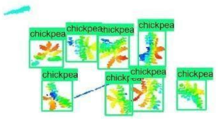 Sensors 21 08022 i019