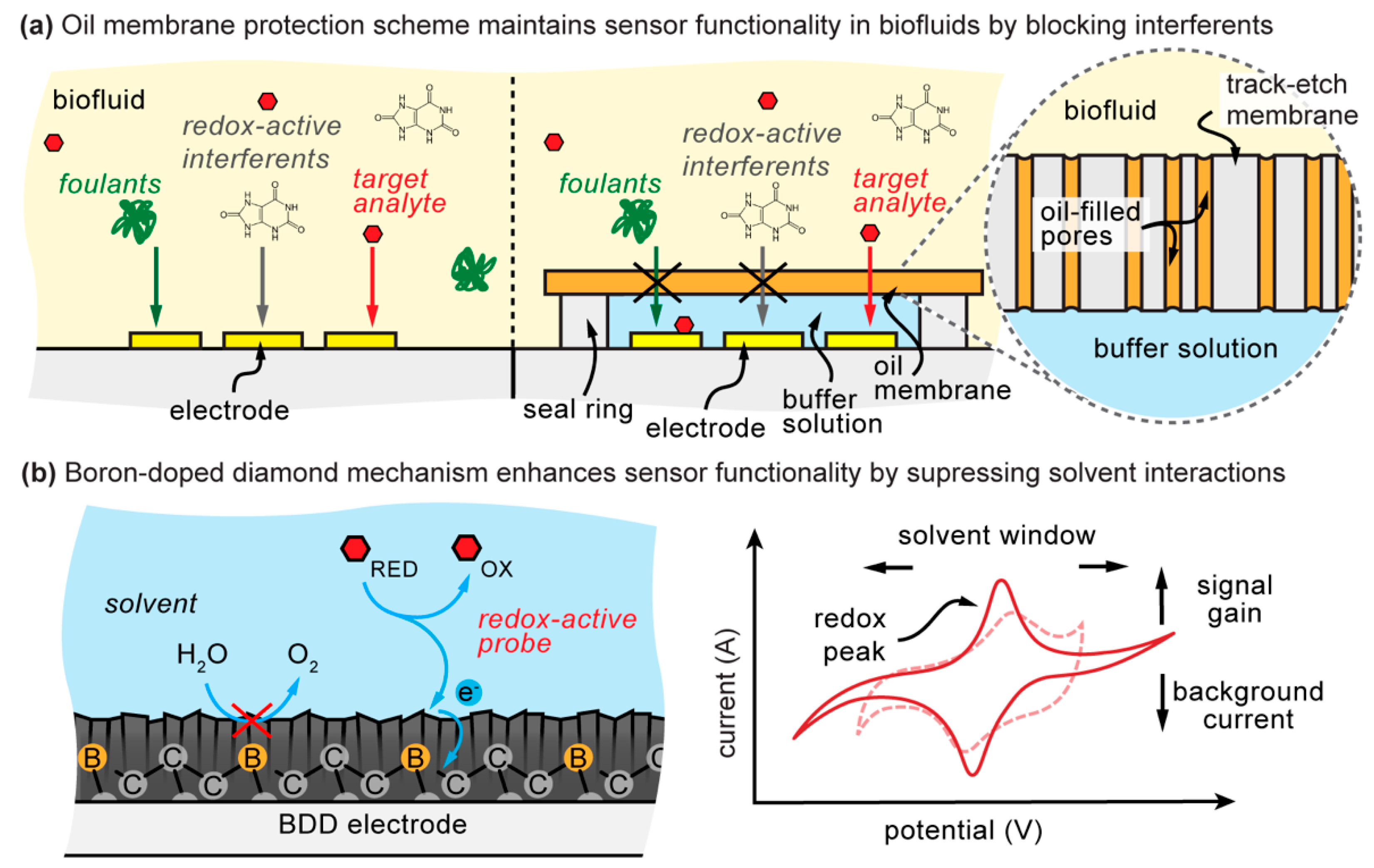 PDF) Boron Doped Diamond Electrodes in Flow-Based Systems