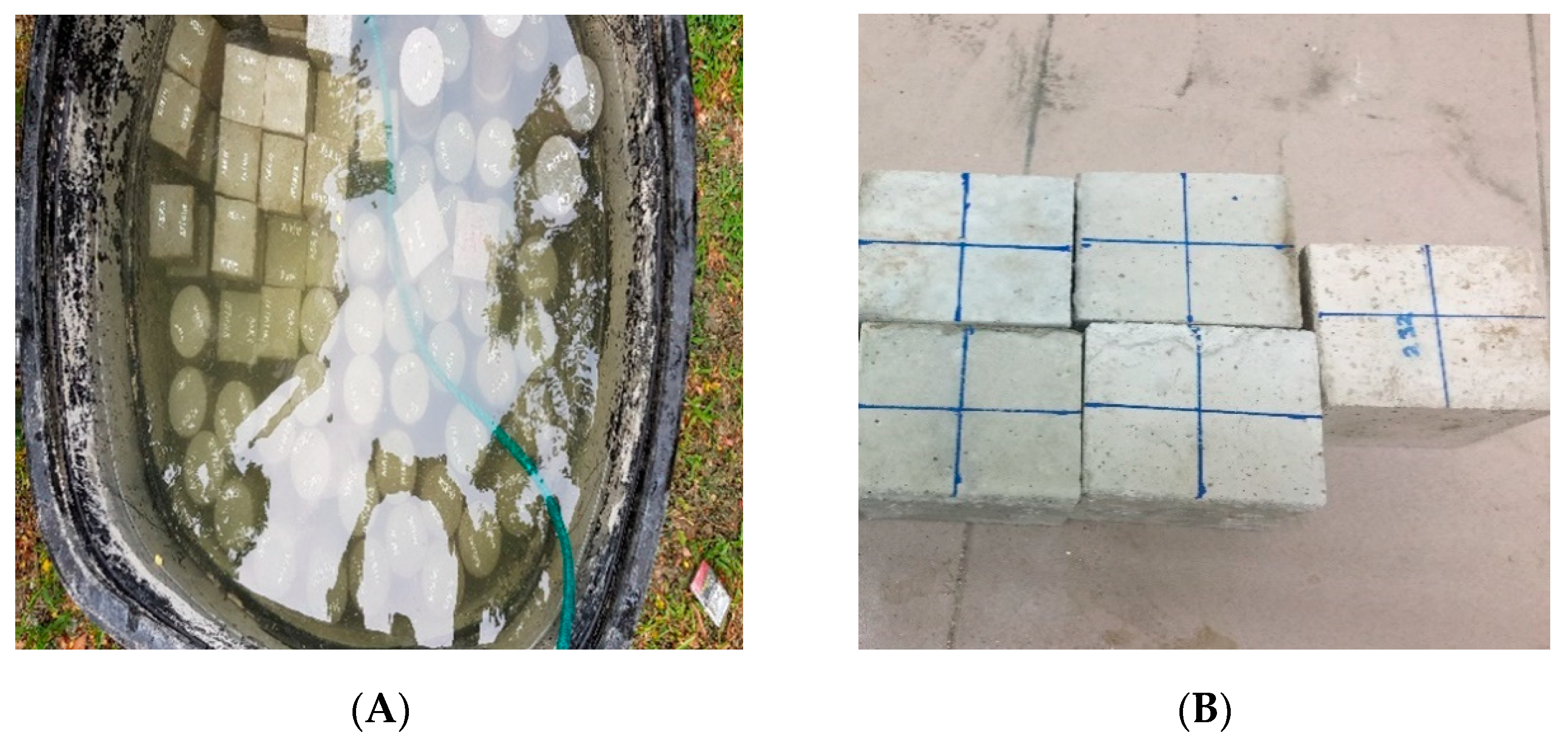 Sensors 21 08256 g001