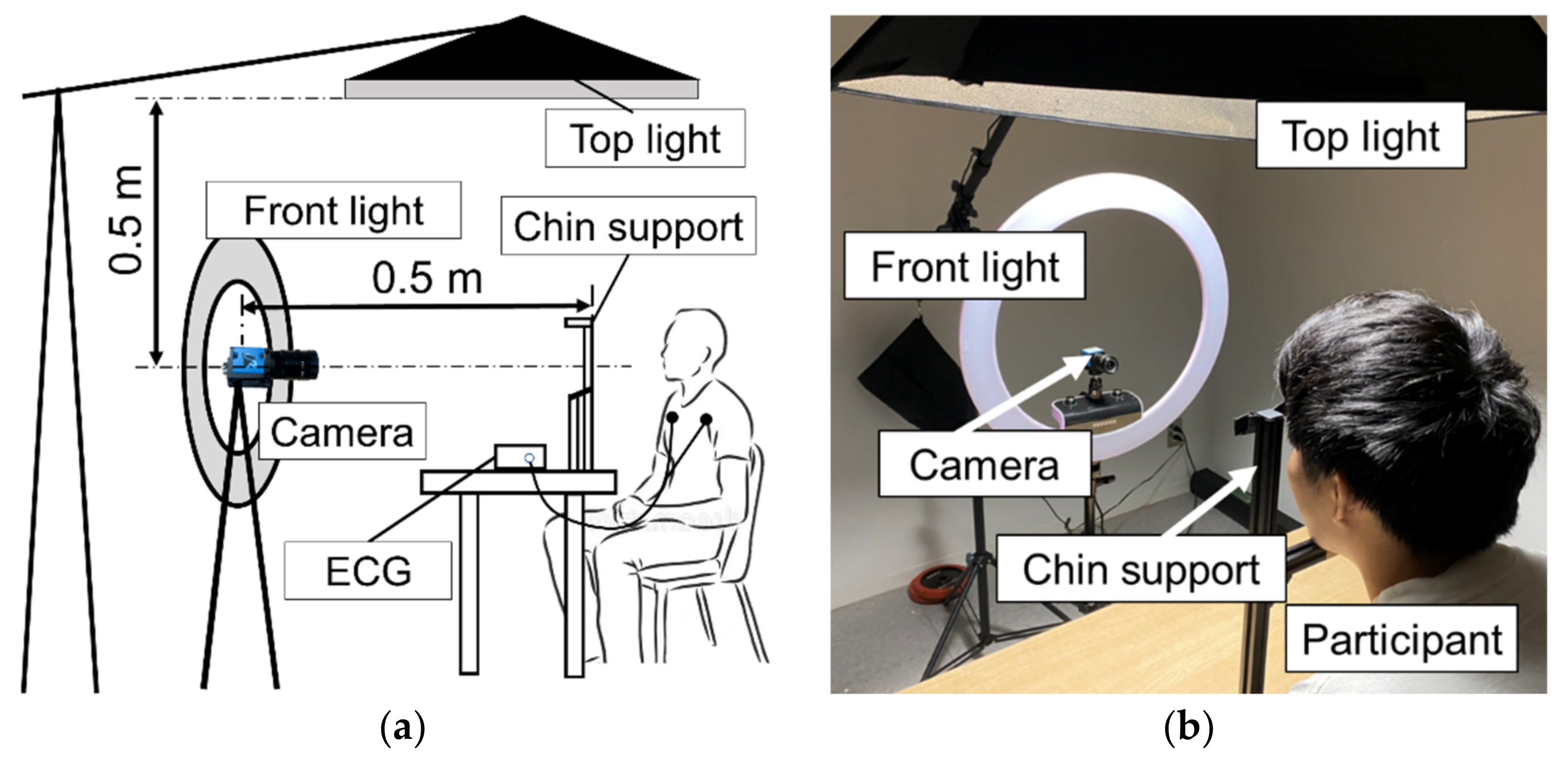 Sensors 21 08357 g001