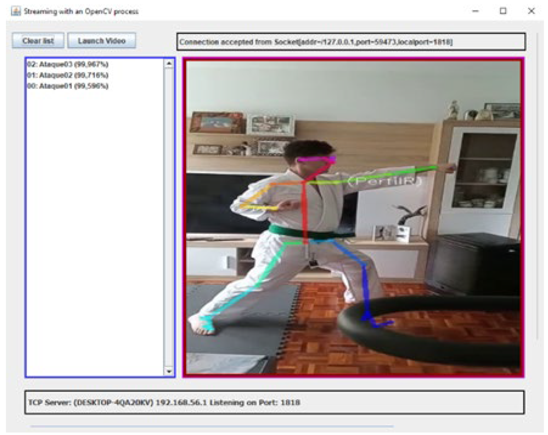 Sensors | Free Full-Text | Toward Modeling Psychomotor Performance in  Karate Combats Using Computer Vision Pose Estimation