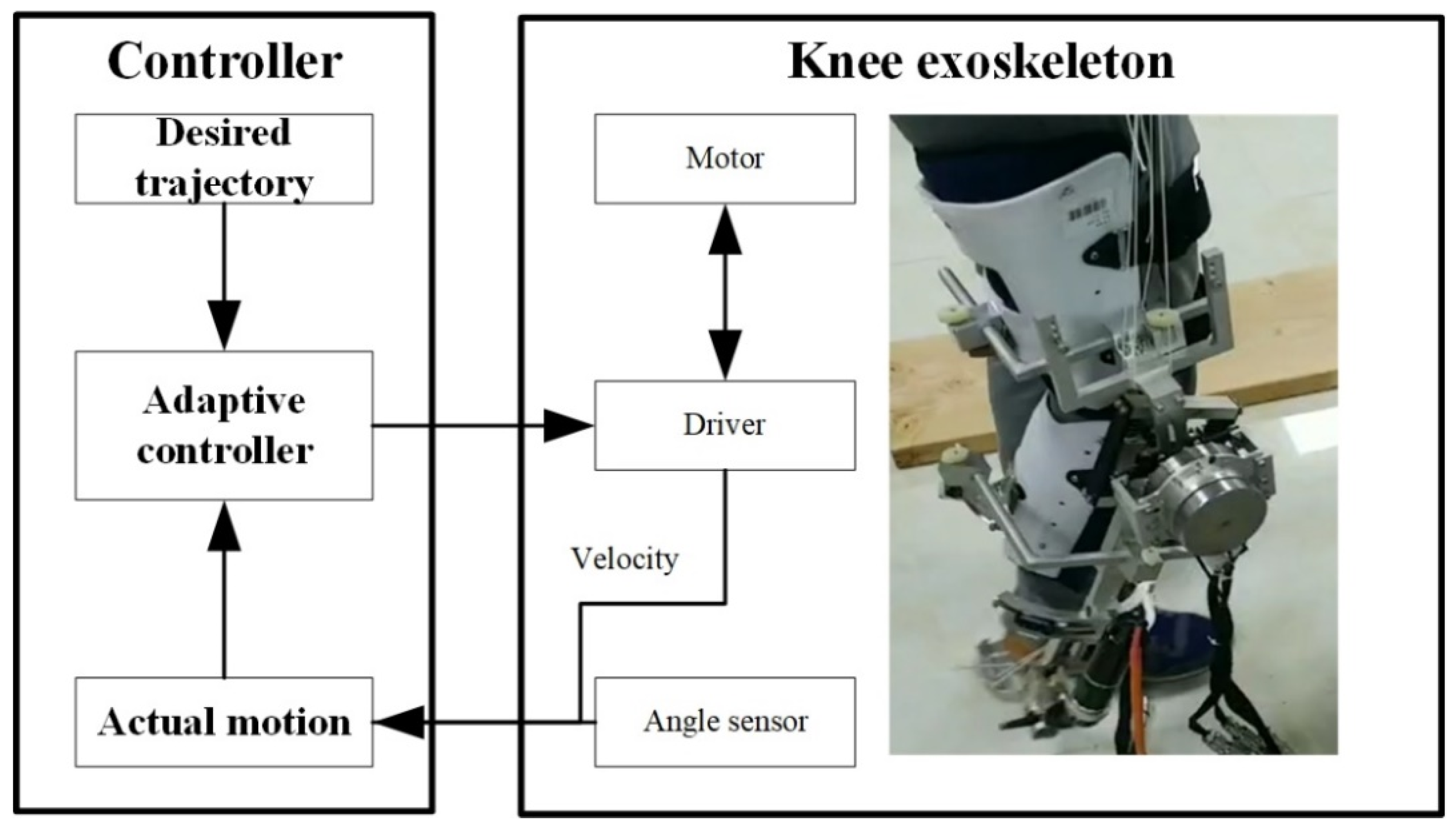 Sensors 21 08390 g011