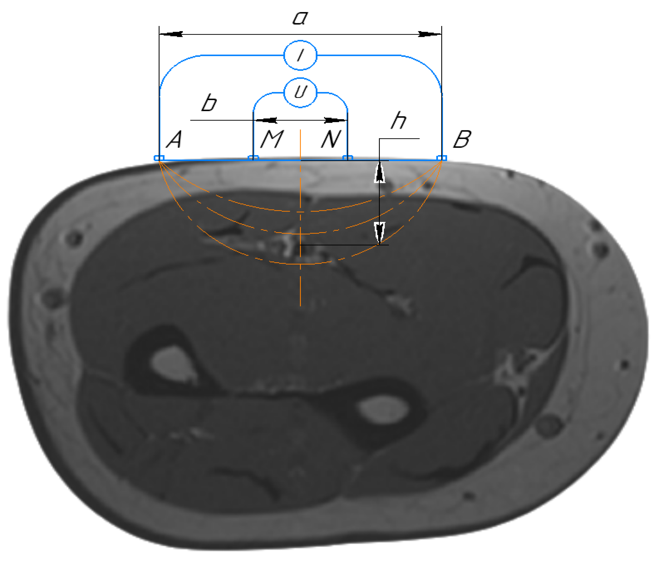 Sensors 21 08438 g002