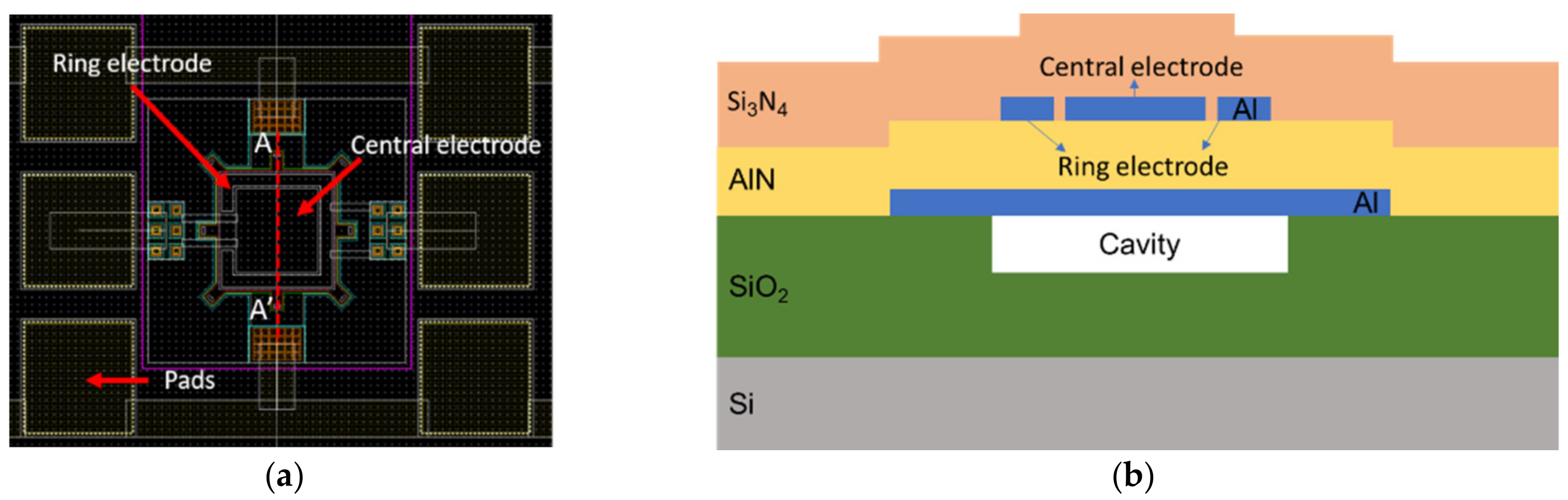 Sensors 21 08447 g001