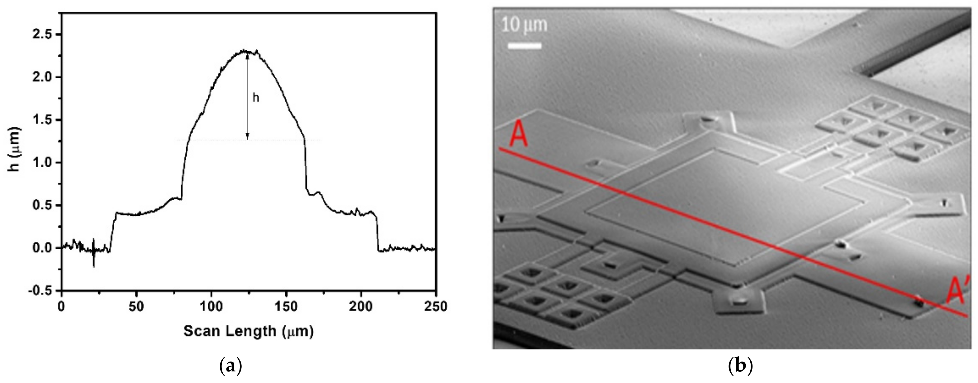 Sensors 21 08447 g008