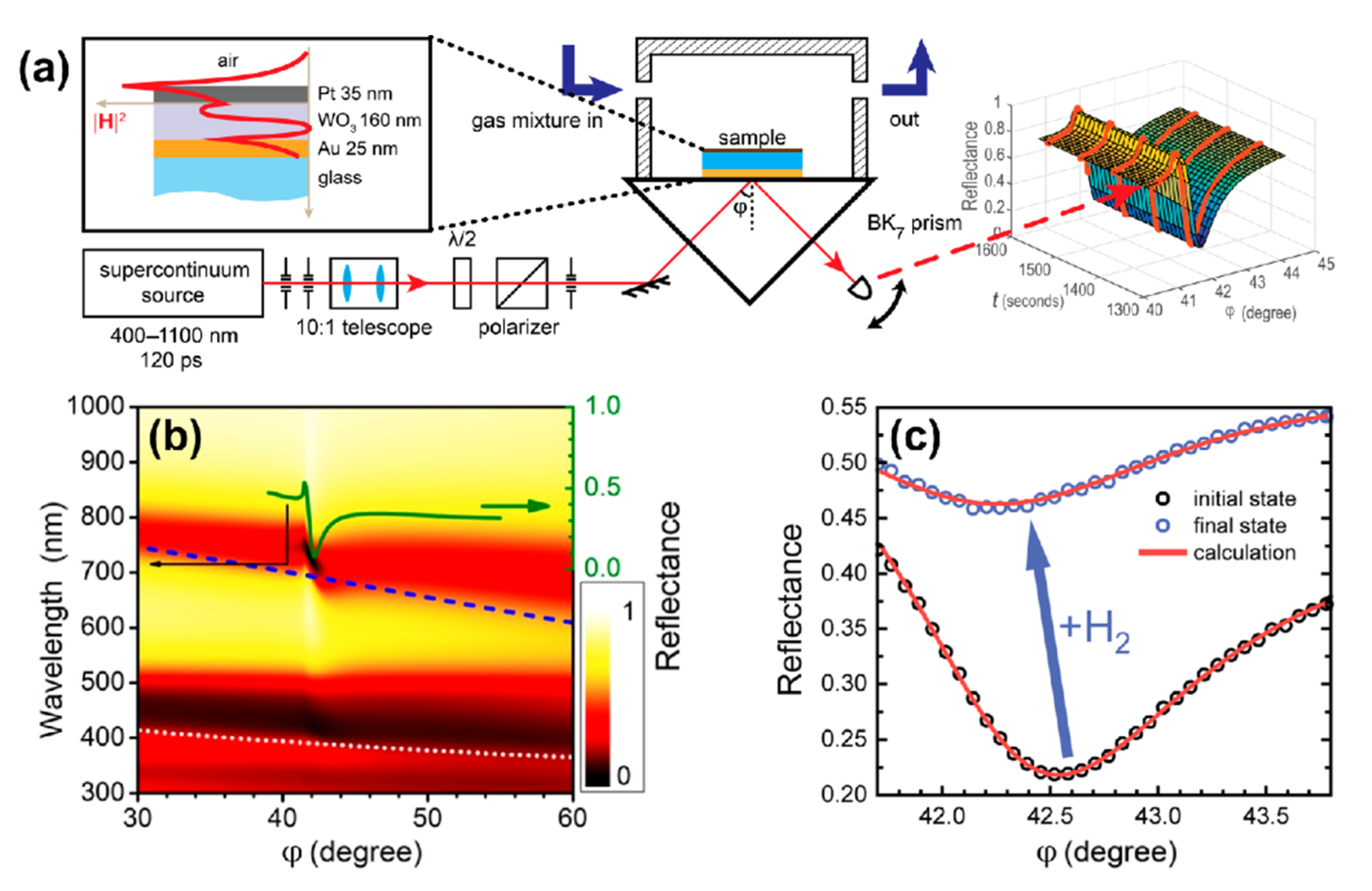 Sensors 21 08472 g001