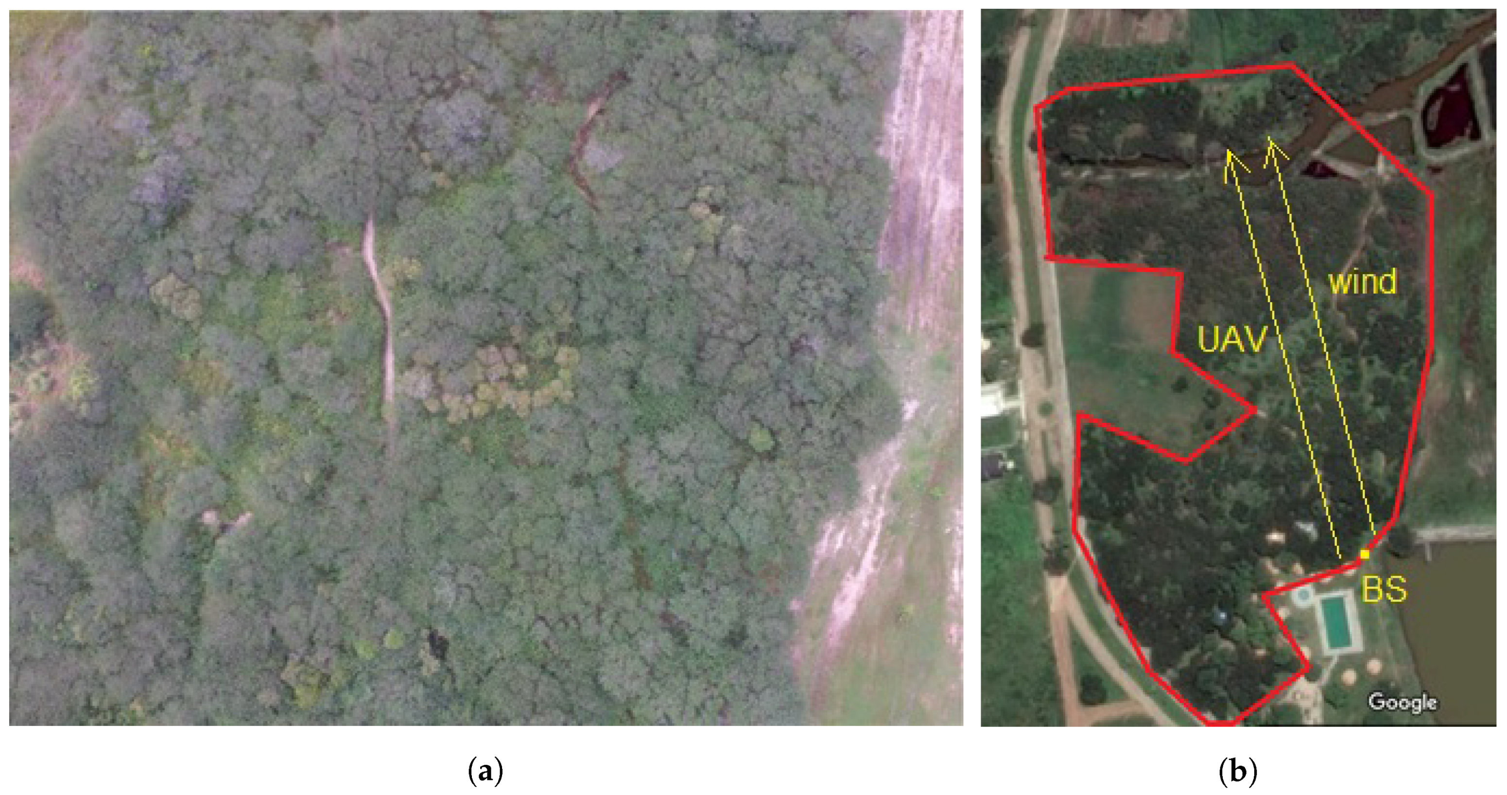 Sensors 22 00065 g004