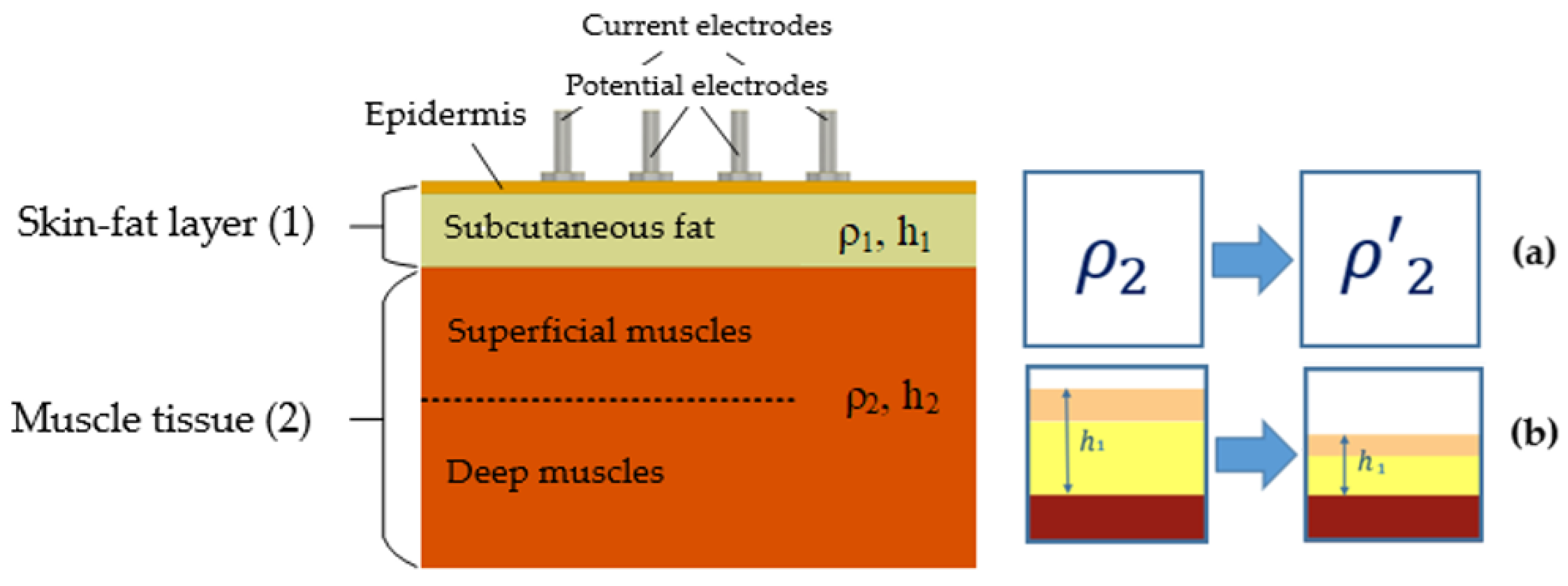 Sensors 22 00097 g002