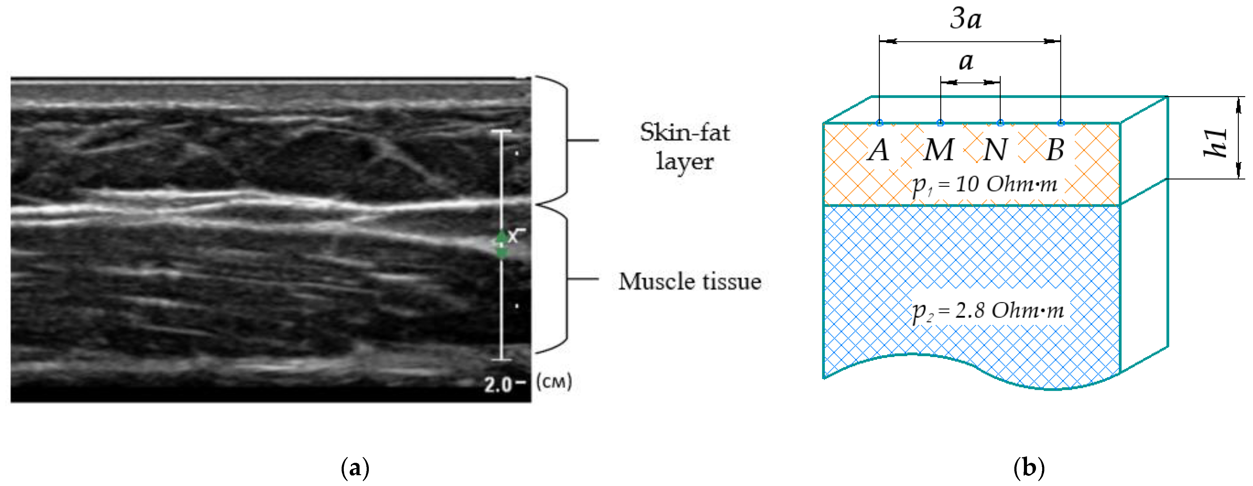 Sensors 22 00097 g008