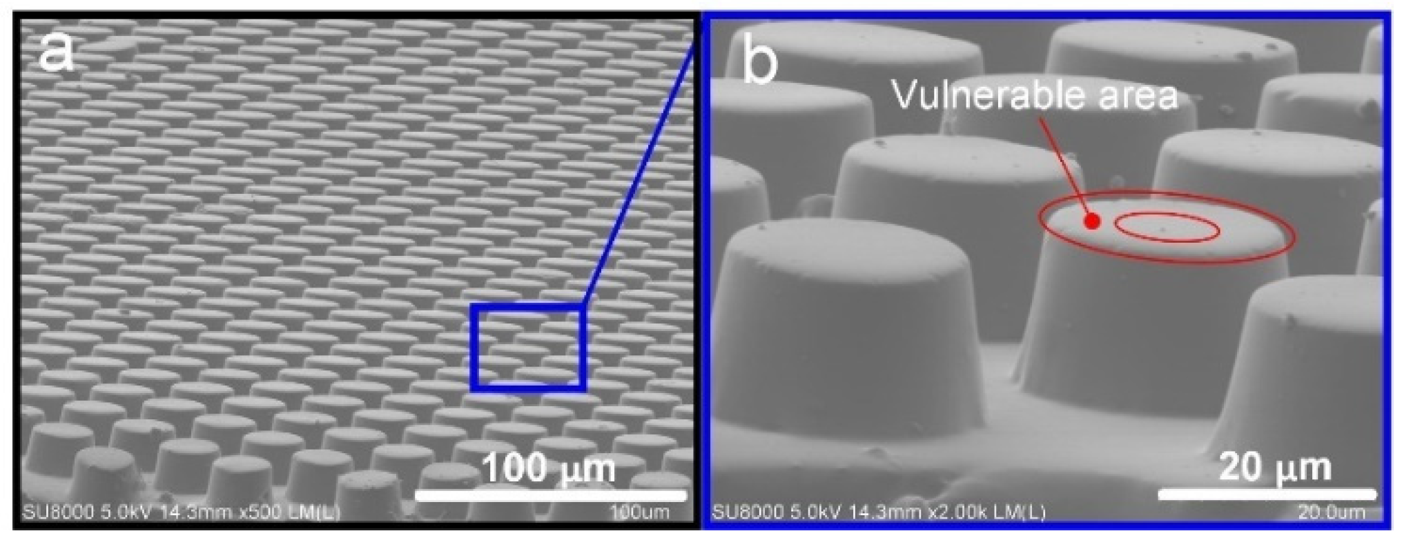 Sensors 22 00149 g008