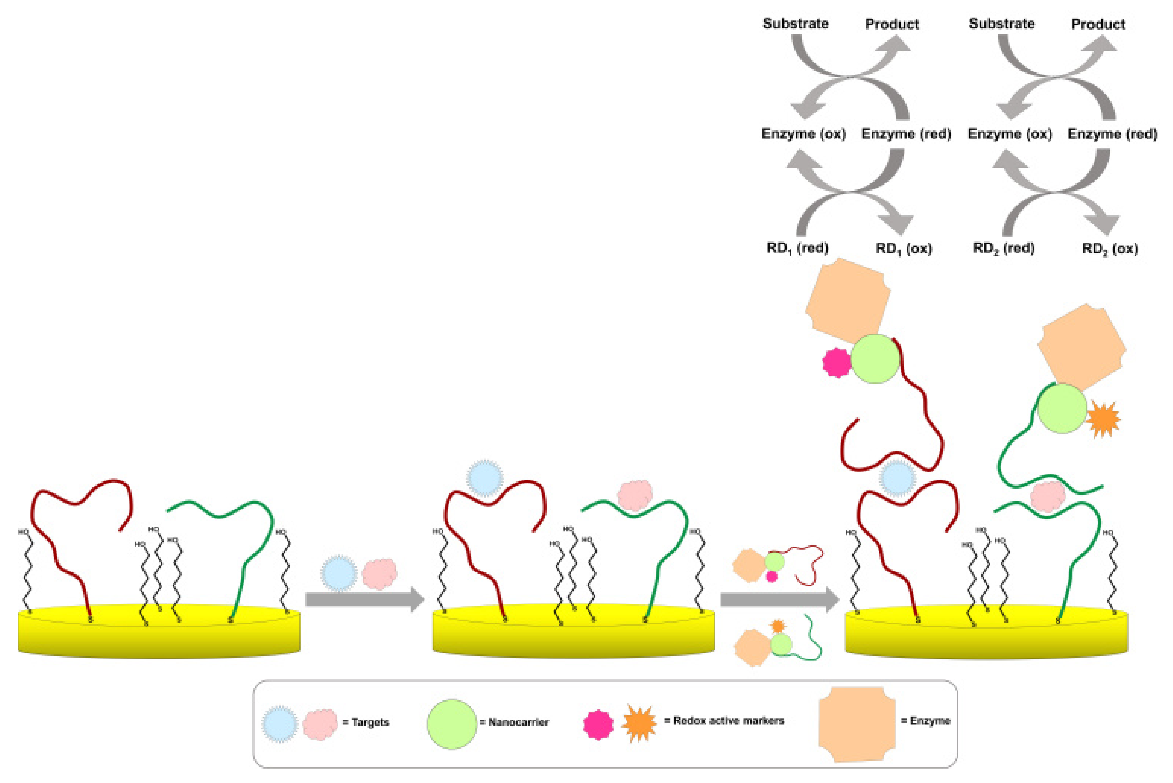 Sensors | Free Full-Text | Advances in Design Strategies of Multiplex ...