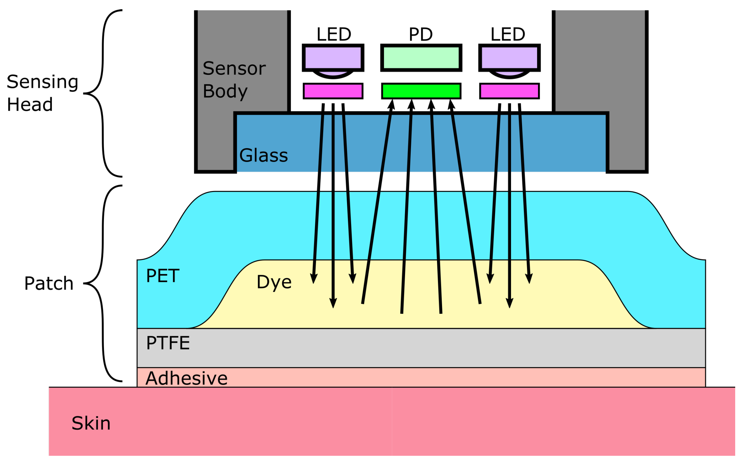 CO2 Gas Sensor - Independence Science