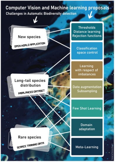 Large-Scale Study Points to Simpler Trap for Monitoring Brown