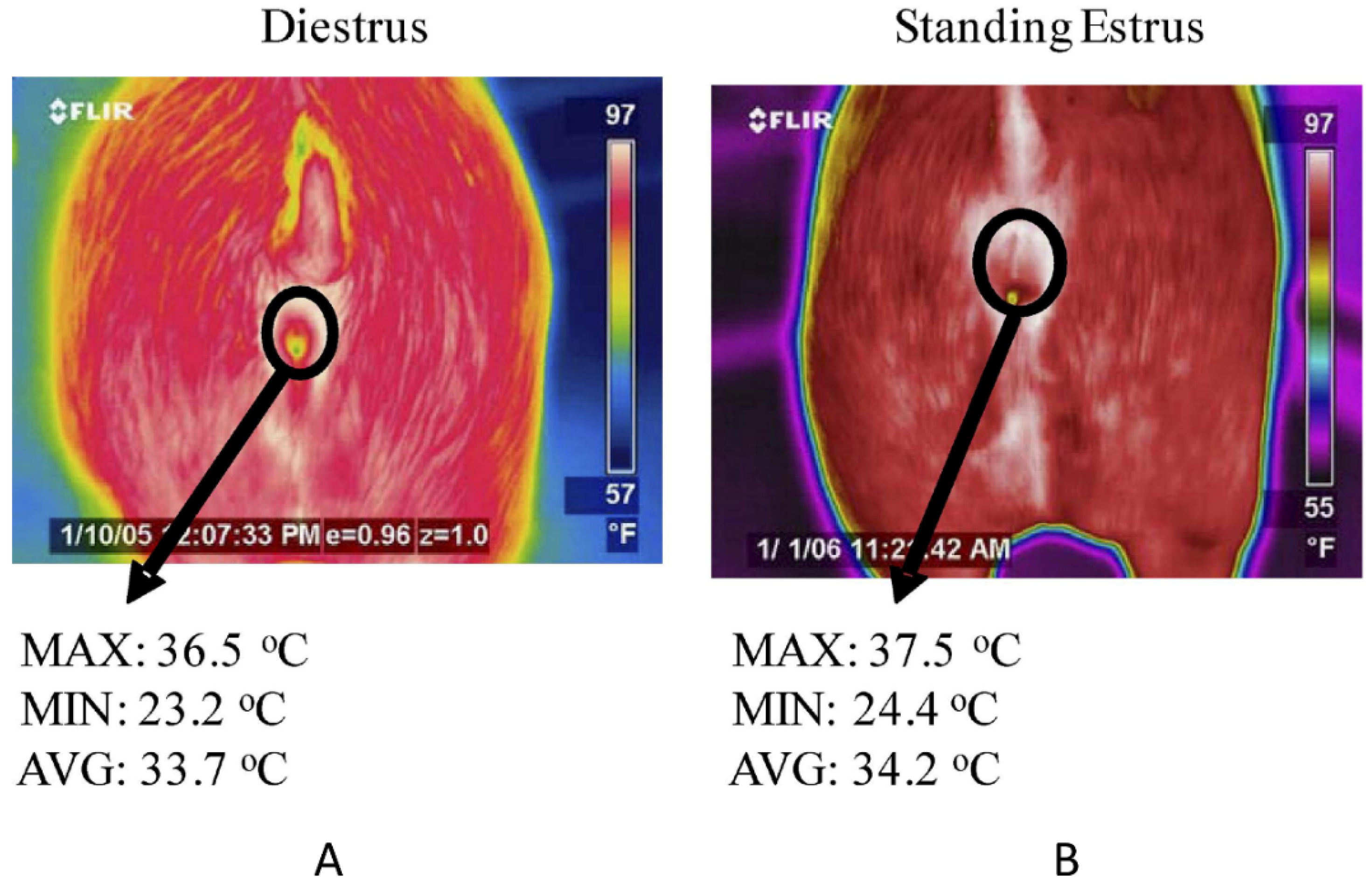 Sensors 22 00705 g004