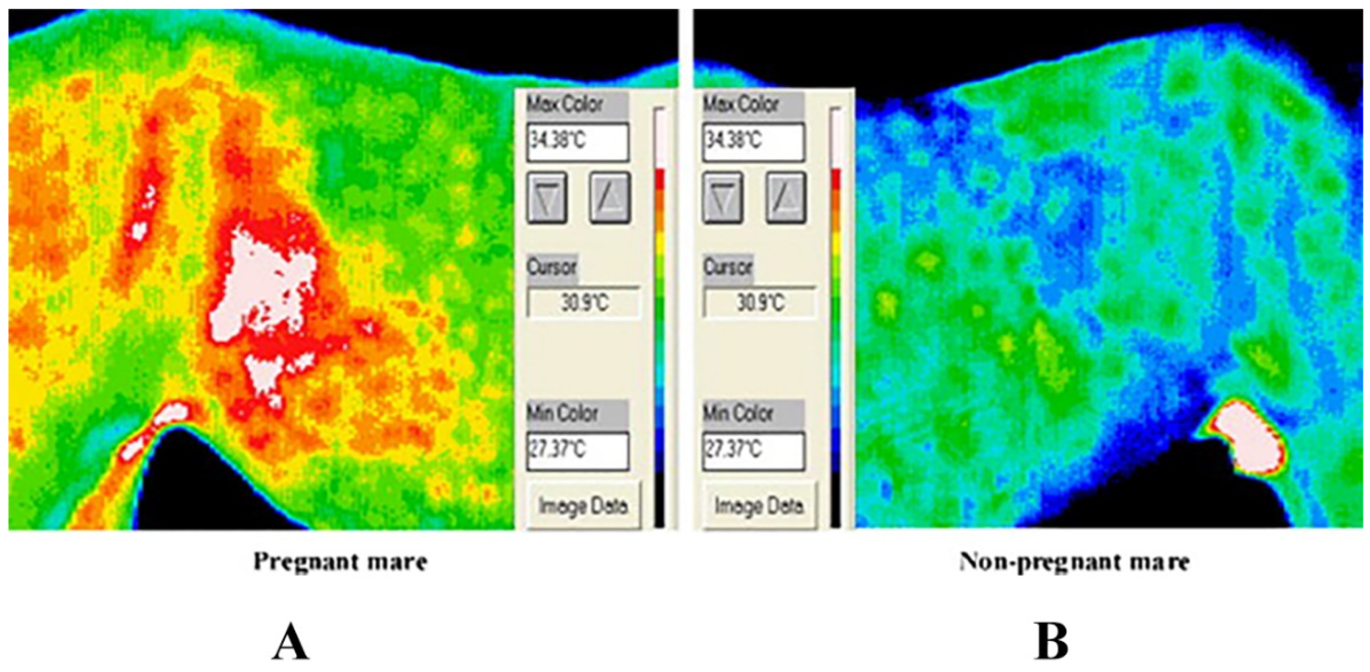 Sensors 22 00705 g005