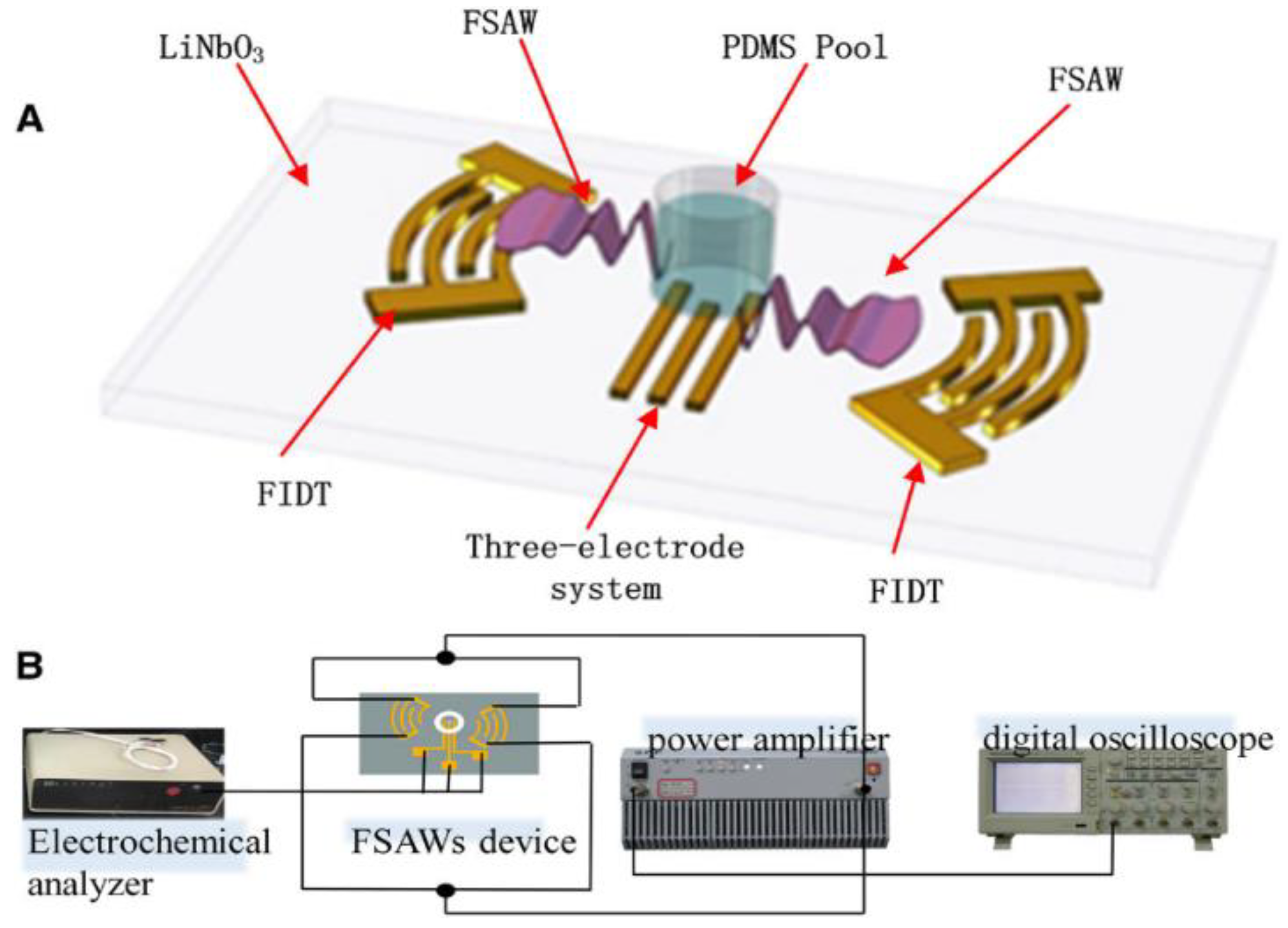 Sensors Free FullText Surface Acoustic Wave (SAW) Sensors Physics