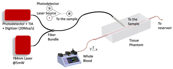 Sensors | Free Full-Text | Non-Invasive Blood Flow Speed Measurement Using  Optics | HTML