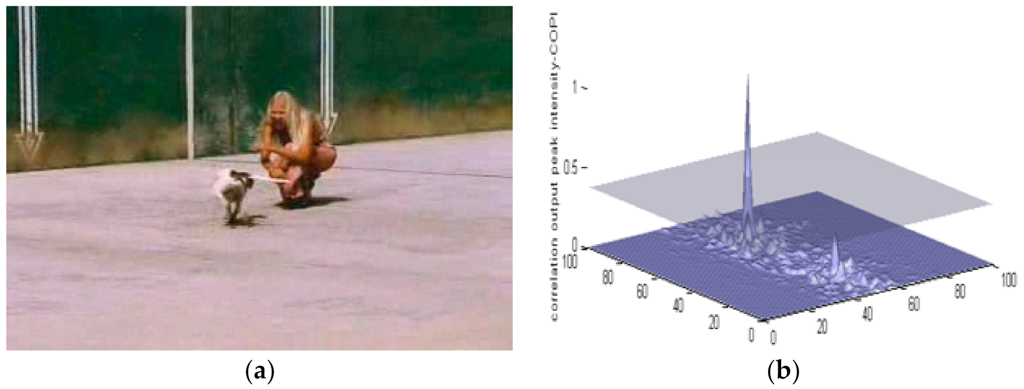 Sensors 22 01098 g005