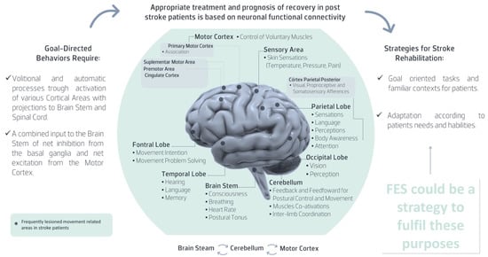 Will Electrical Stimulation Help Me Recover From Stroke?