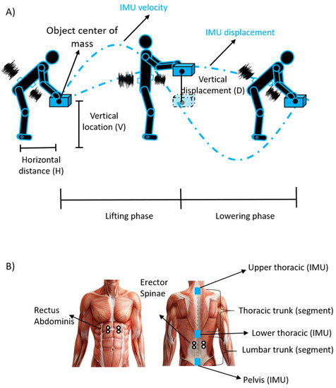 Sensors | Free Full-Text | Trunk Muscle Coactivation in People with and  without Low Back Pain during Fatiguing Frequency-Dependent Lifting  Activities | HTML