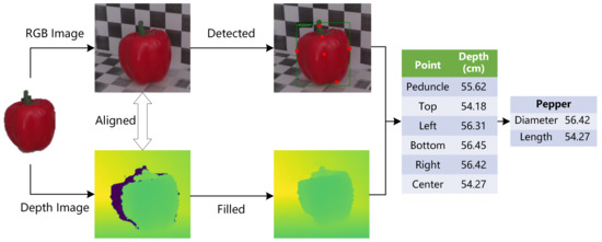 Deep UV Light and Cameras Used to Inspect Potato Chip Containers