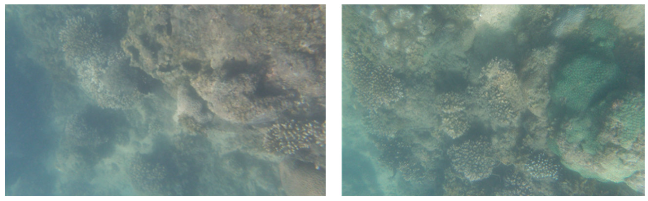 Sensors 22 01770 g016 Sensors 22 01770 g016