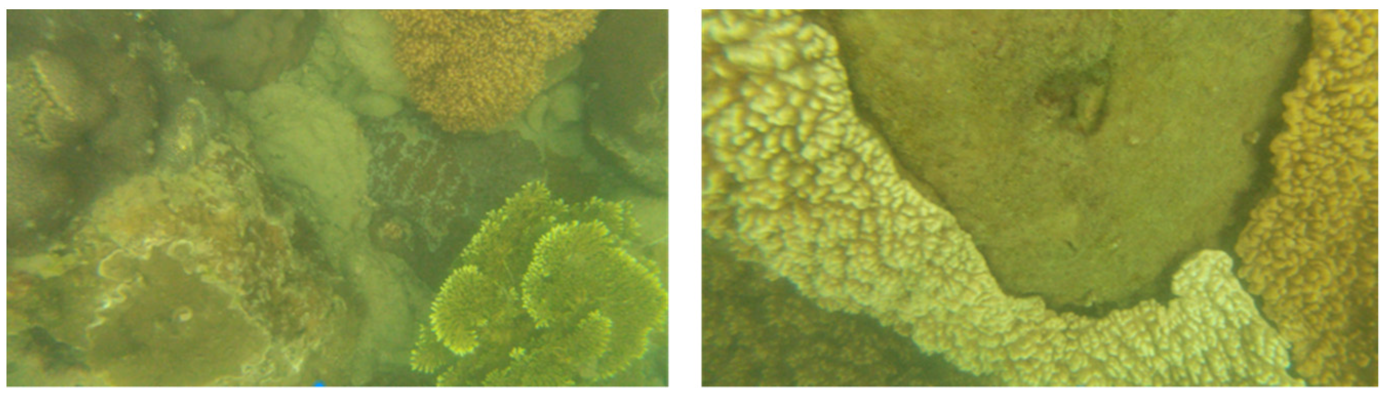 Sensors 22 01770 g017 Sensors 22 01770 g017