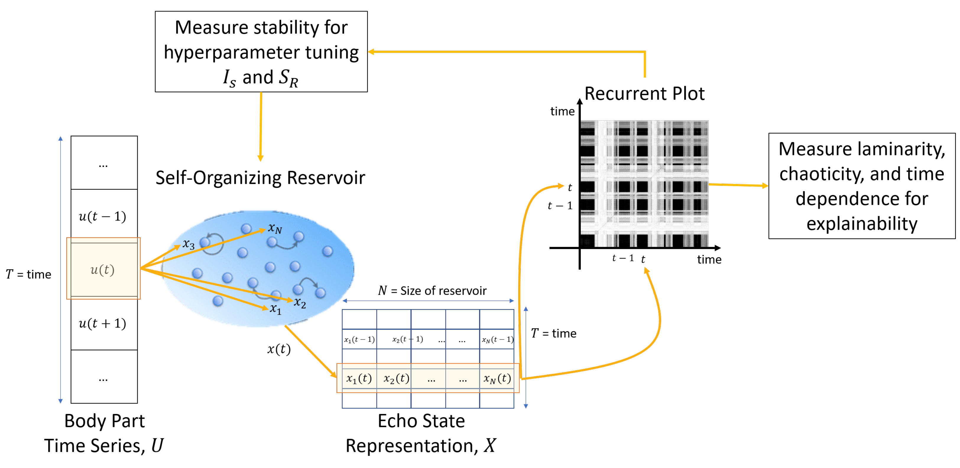 Sensors | Free Full-Text | On the Post Hoc Explainability of Optimized  Self-Organizing Reservoir Network for Action Recognition | HTML