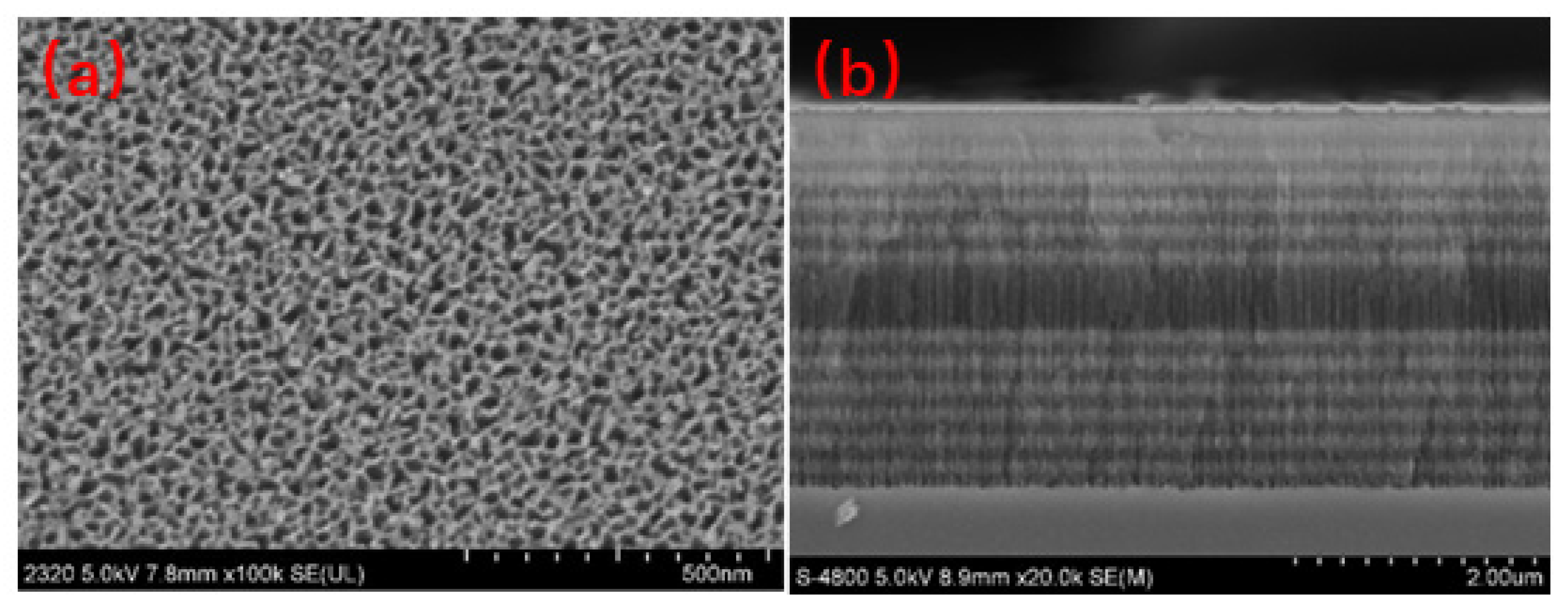 Sensors 22 01912 g003