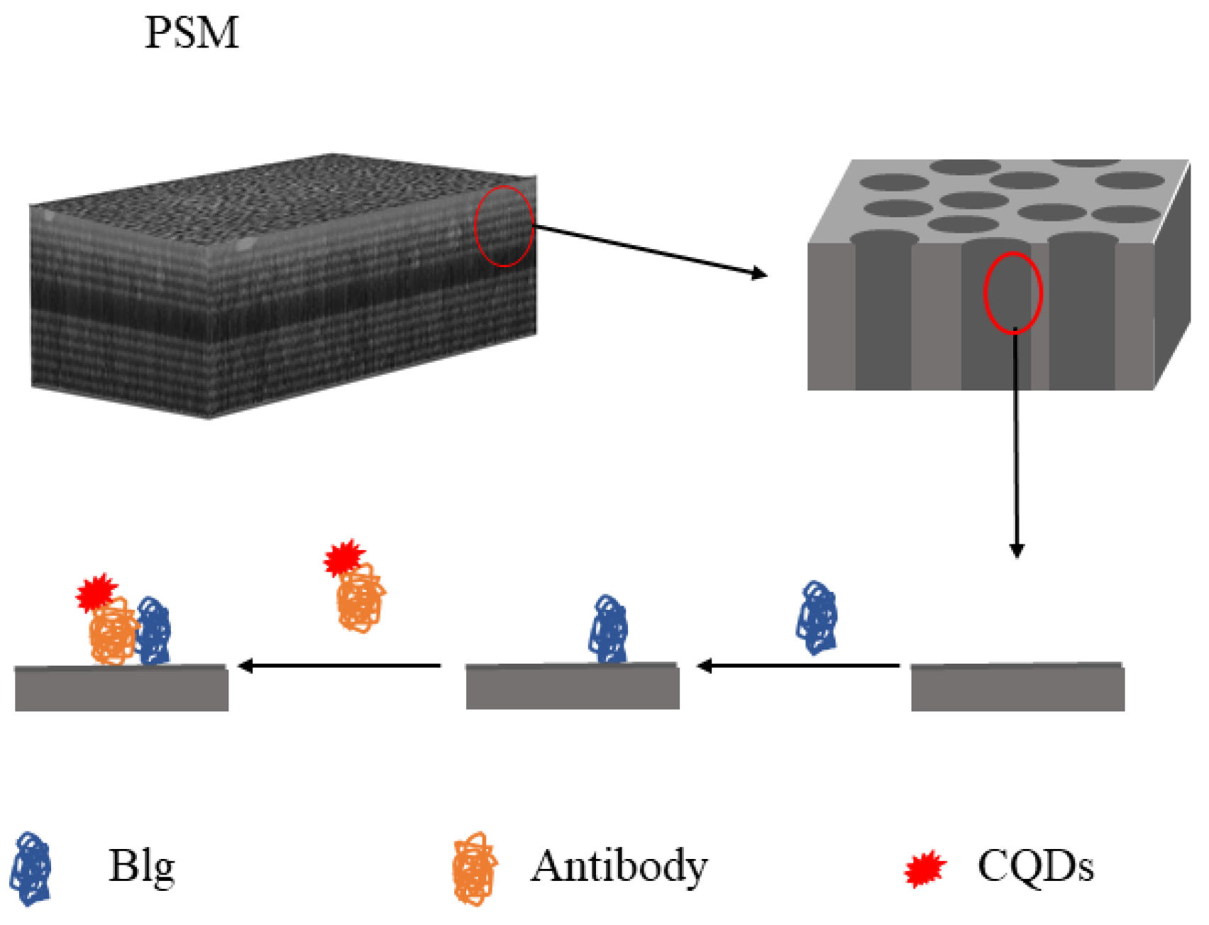 Sensors 22 01912 g005