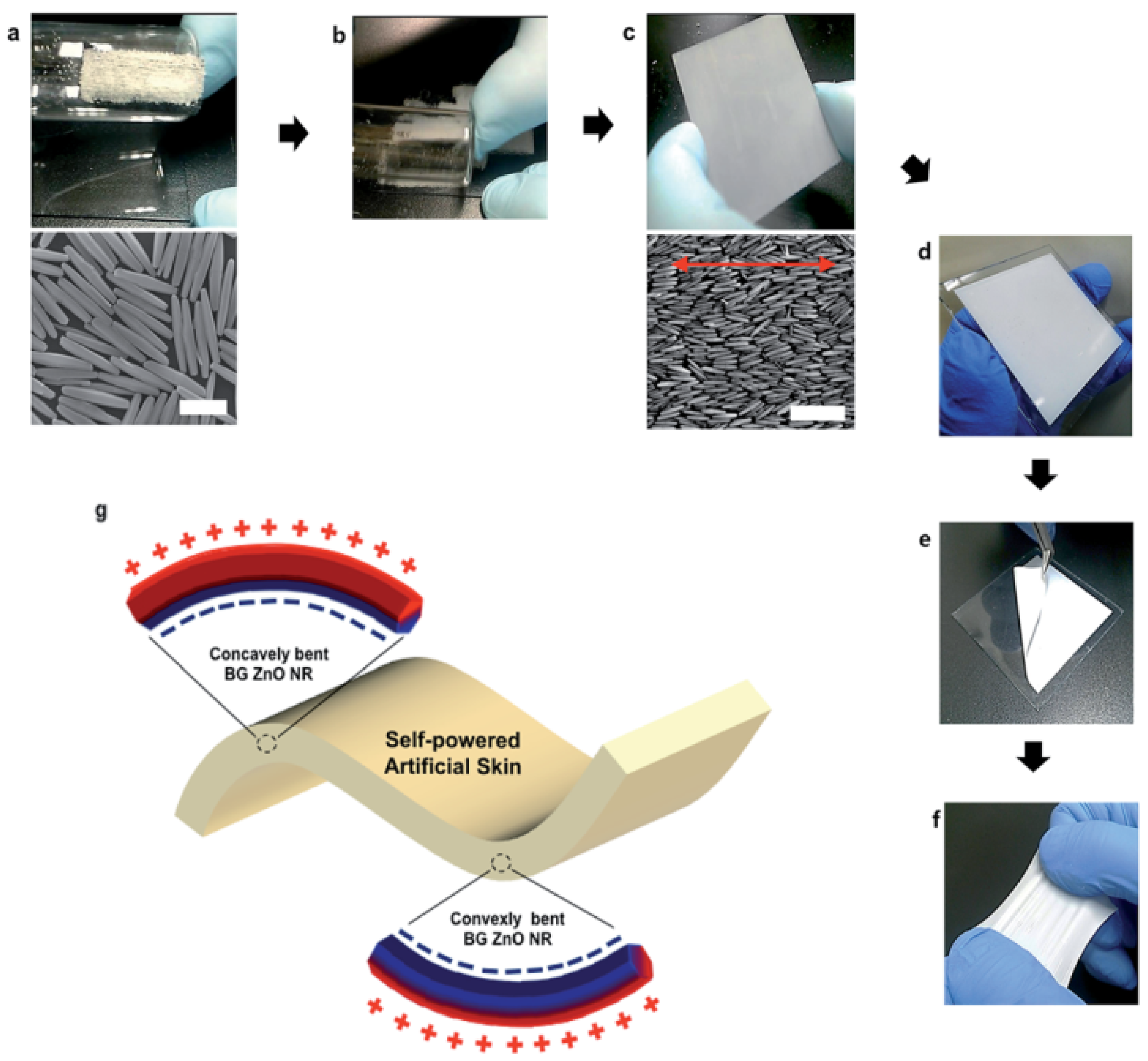 Sensors 22 01996 g008