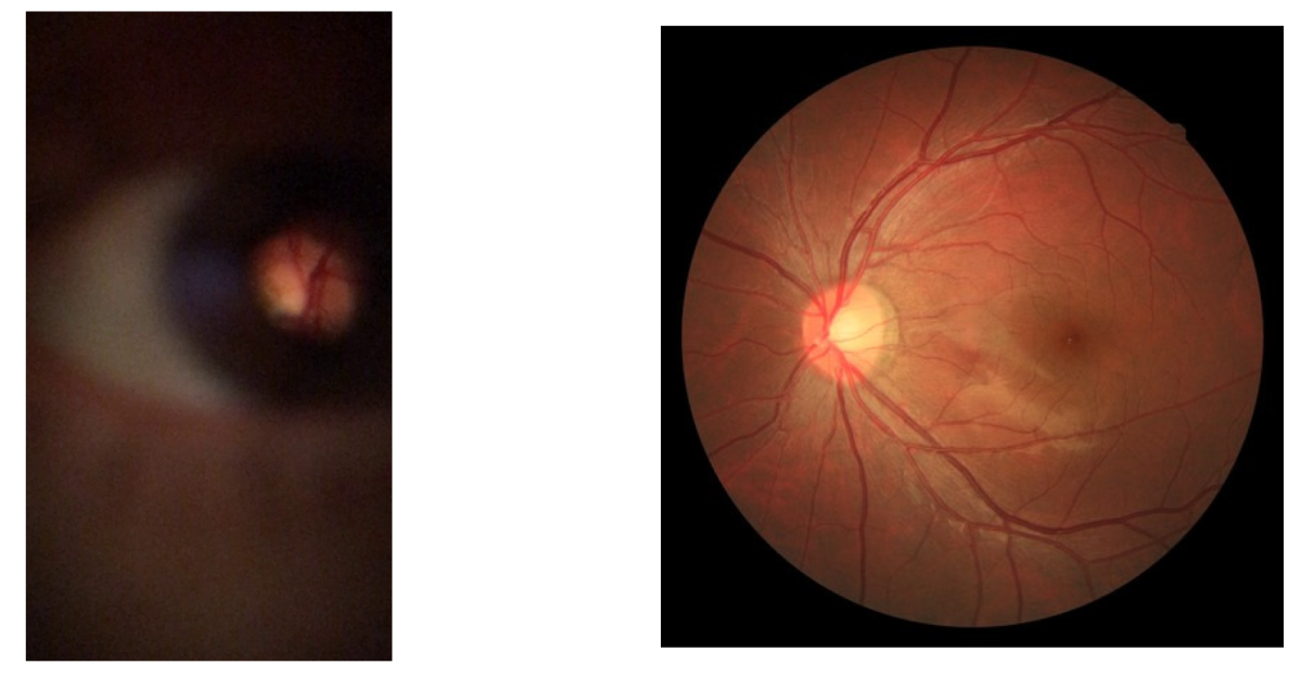 Sensors 22 02059 g001