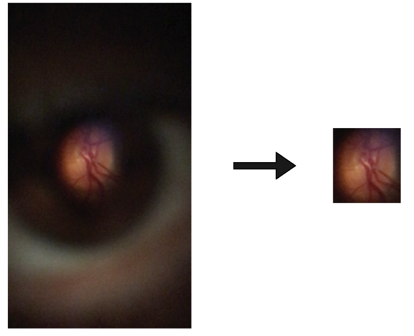 Sensors 22 02059 g004