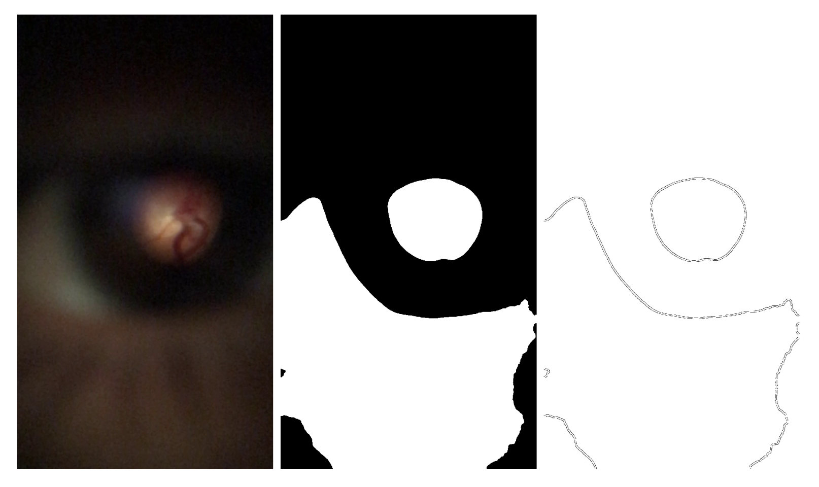 Sensors 22 02059 g007