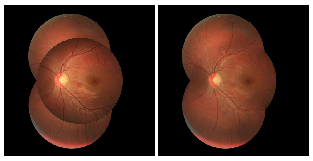 Sensors 22 02059 g013