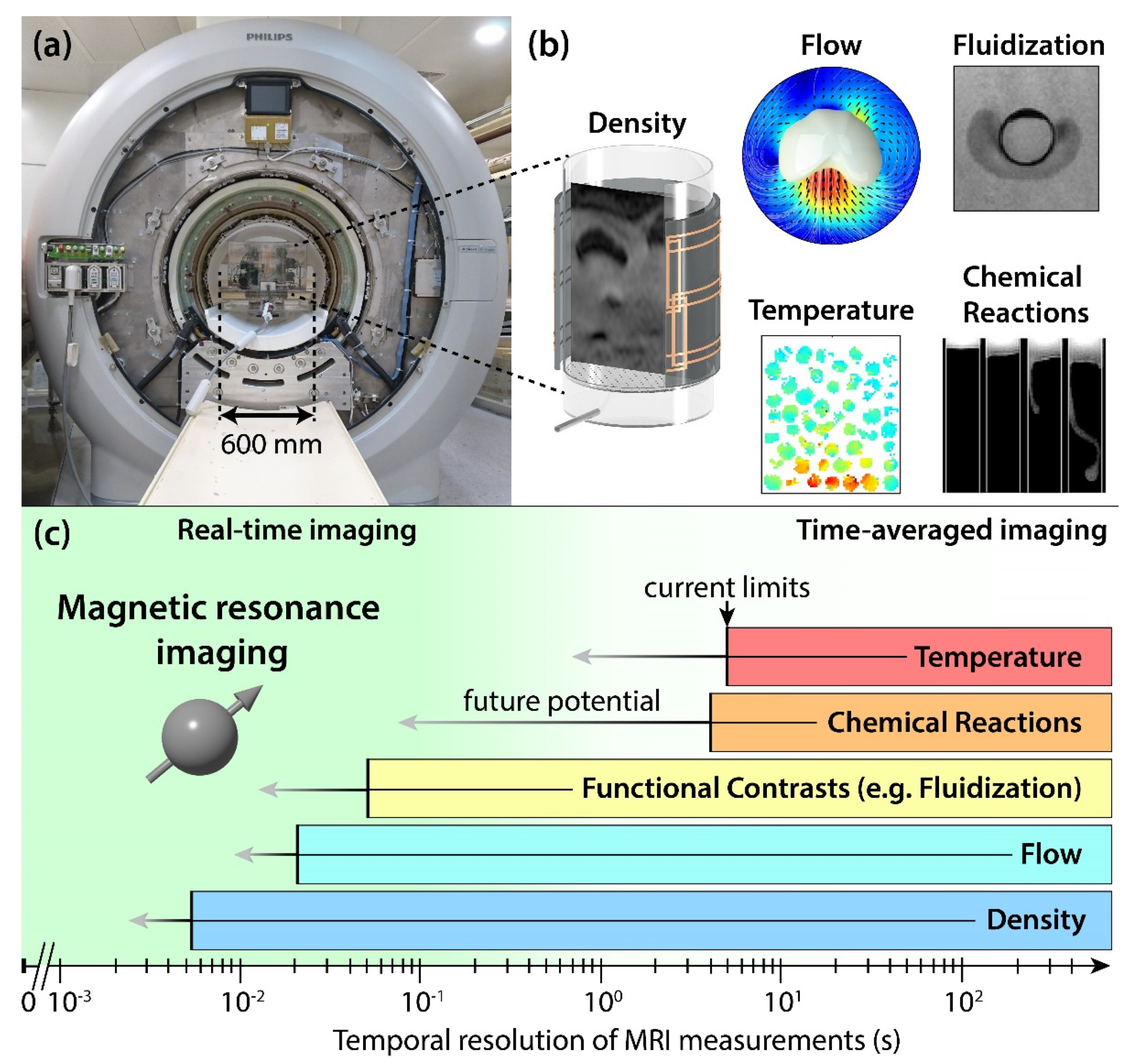 Application potential. Marshall Computed tomographic classification.