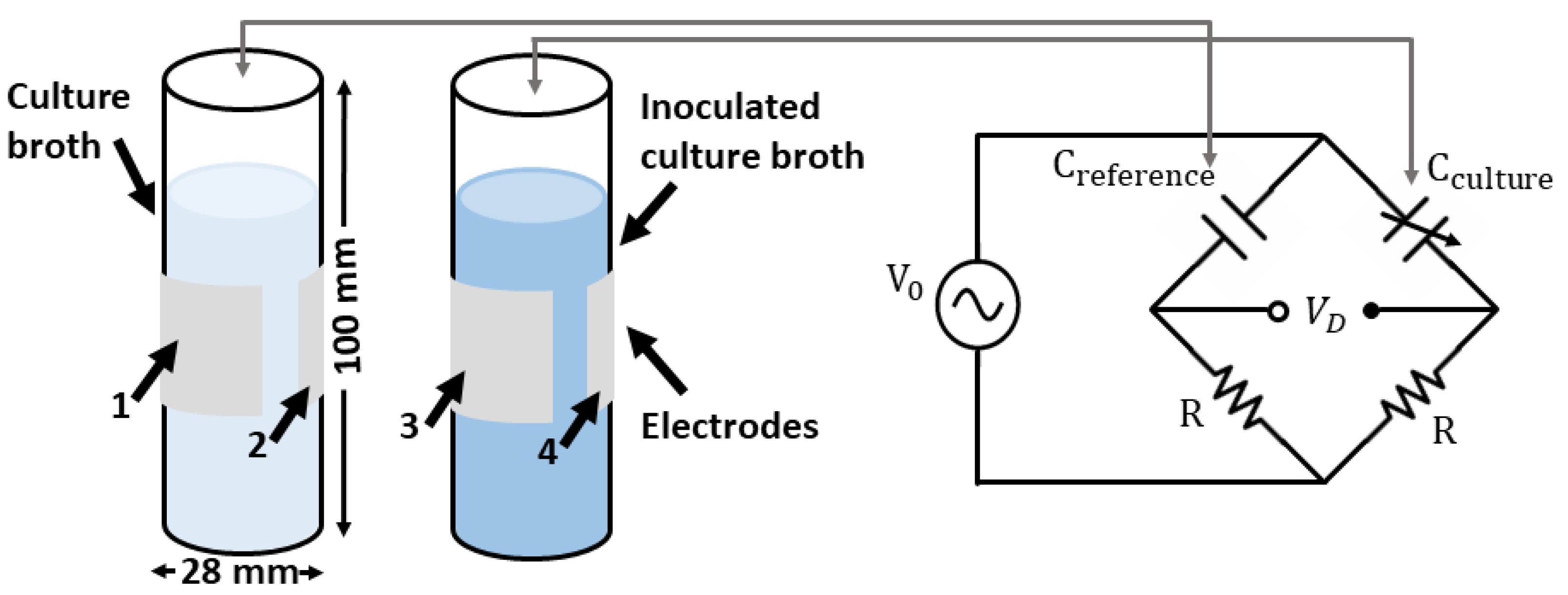 Sensors 22 02441 g005