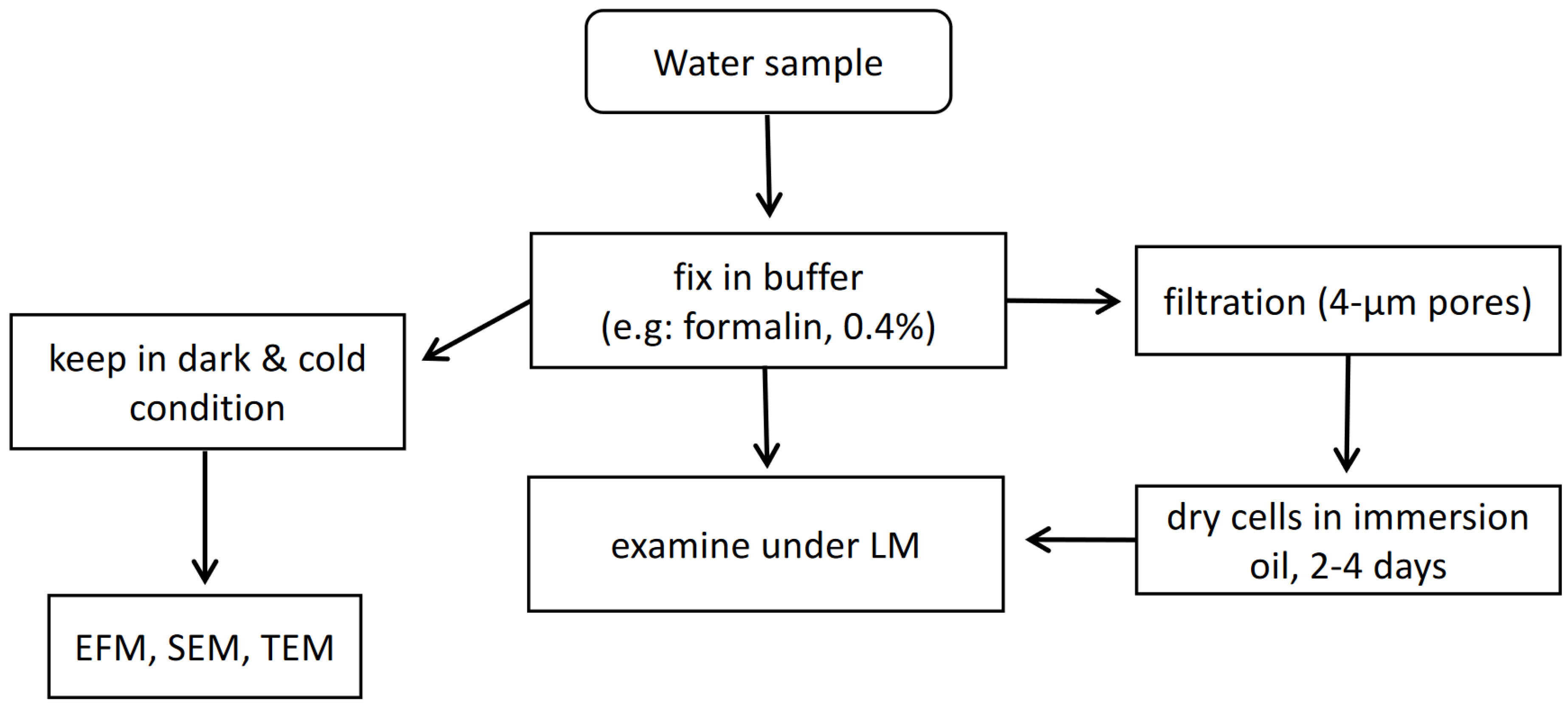 Sensors 22 03144 g002 Sensors 22 03144 g002