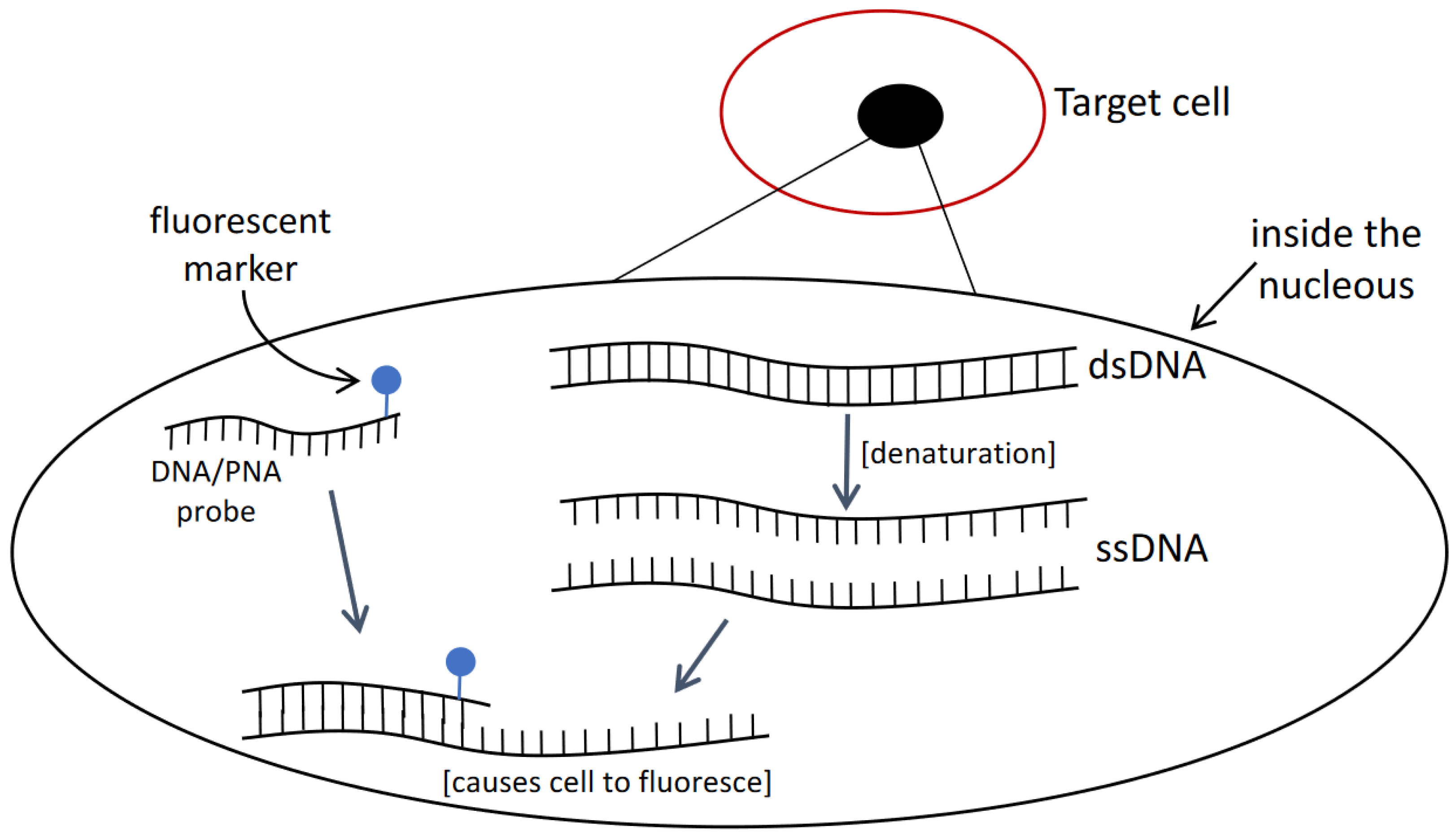 Sensors 22 03144 g003 Sensors 22 03144 g003